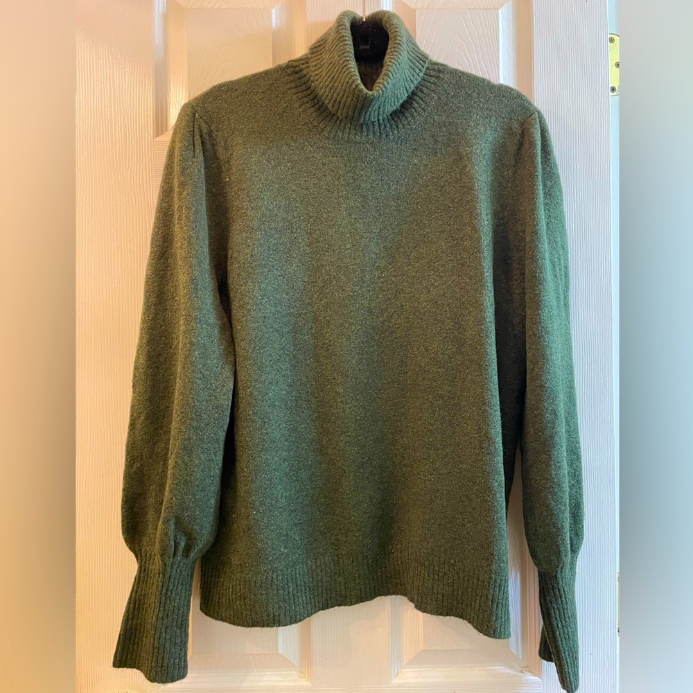 NWT J.Crew olive green turtleneck sweater. XL